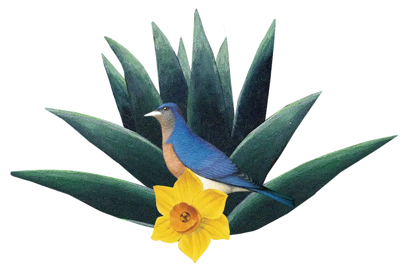 bird flower