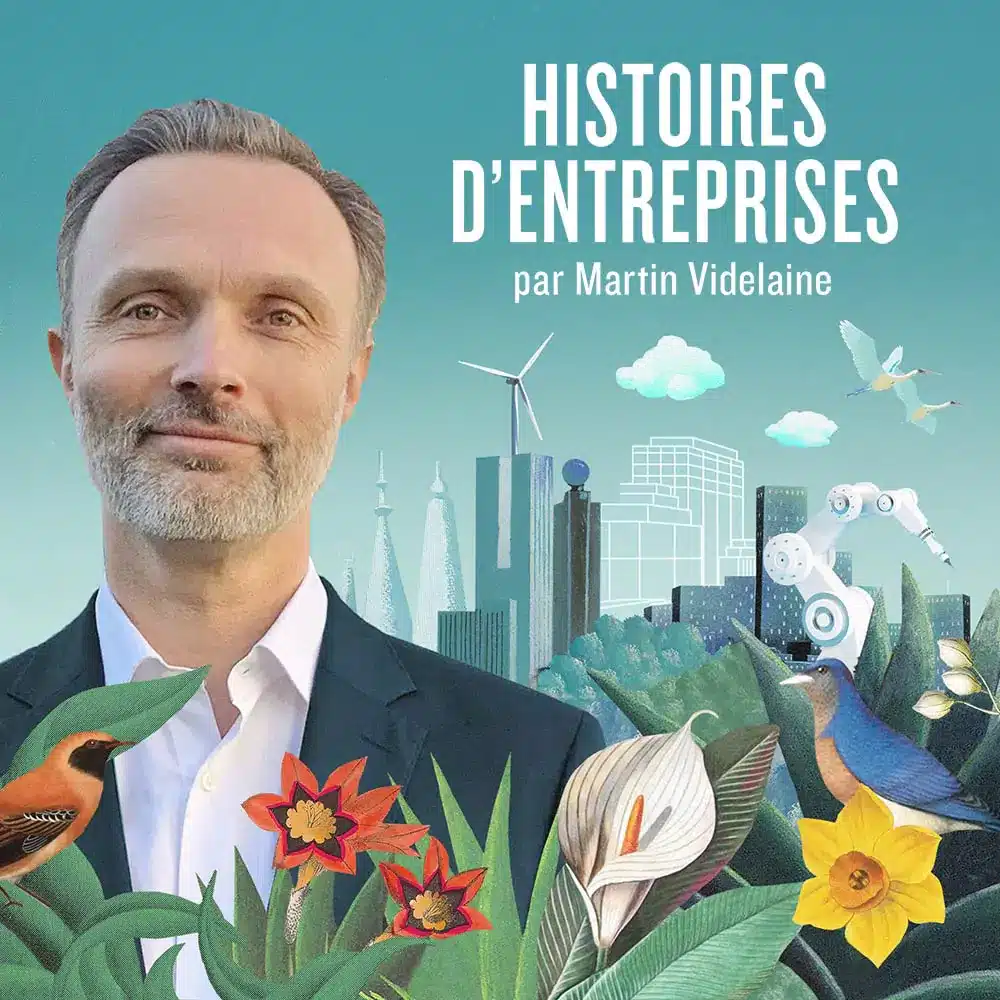 Histoires d'enterprises . Martin Videlaine